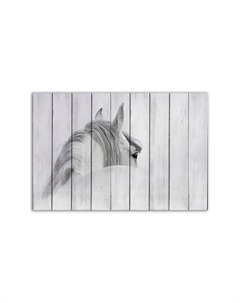 Картина на дереве Белая лошадь 1 100х150 см Дом корлеоне