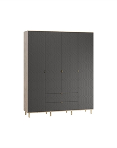Распашной шкаф Теджонс-4 Deco Grafit Диван.ру