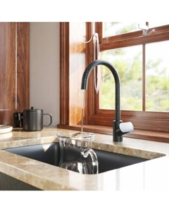 F8007S22 Комплект для кухни: смеситель для кухни с каналом для питьевой воды, фильтр. Am.pm.