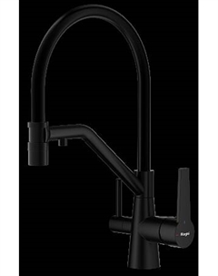 Смеситель для кухни со съемным изливом и подключением фильтра питьевой воды RAGLO R80.62.06 Raglo