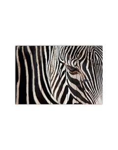 Картина на дереве Зебра 2 40х60 см Дом корлеоне