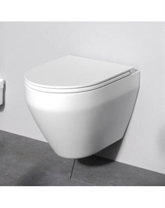 C701700SC Унитаз подвесной FlashClean, с сиденьем Am.pm.