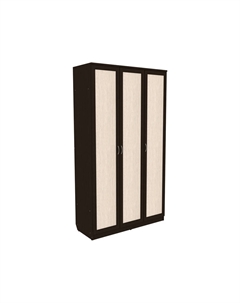 Распашной шкаф Мерлен 106 Уют сервис