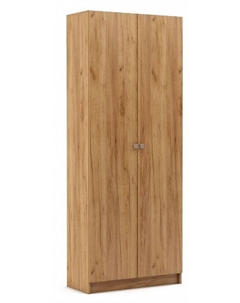 Шкаф платяной Бостон-6 Вмф