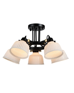 Потолочная люстра ALETANTE Evoluce