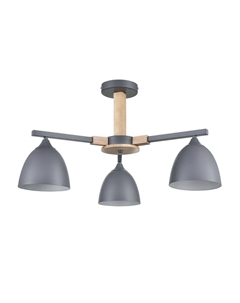 Потолочная люстра COLANGE Lumion