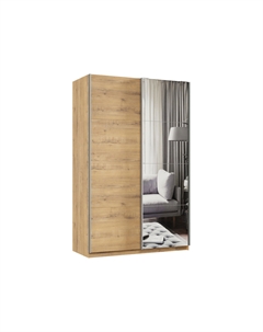 Шкаф-купе Смарт Зеркальная створка Хочу домой