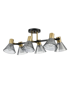 Потолочная люстра ANRIYA Lumion