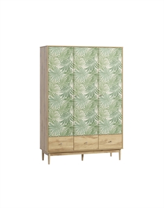 Распашной шкаф Тайрон-3 Monstera Диван.ру