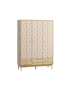 Распашной шкаф Тайрон-3 Flori Диван.ру