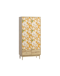 Распашной шкаф Тайрон-2 Lisse Диван.ру