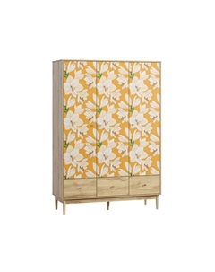 Распашной шкаф Тайрон-3 Lisse Диван.ру