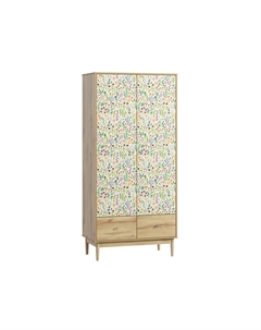 Распашной шкаф Тайрон-2 Saleya Диван.ру