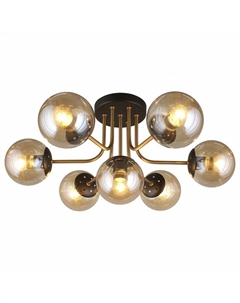 Потолочная люстра Ewka APL.906.07.07 Aployt