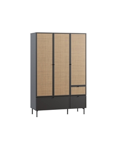 Распашной шкаф Бронте-3 Dark Диван.ру