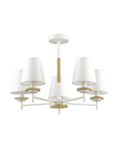 Потолочная люстра COUNTY Lumion