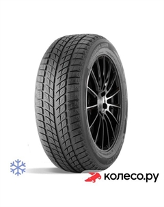 Зимняя шина Winterking DW09 255/55 R20 107H Doublestar