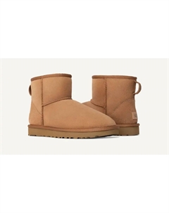 Женские ботильоны Mini Ii каштанового цвета, цвет chestnut Ugg