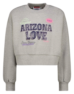 Толстовка, серый Vingino