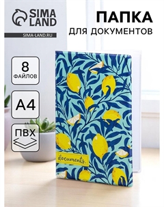 Папка для документов docs, 8 файлов а4 Nobrand