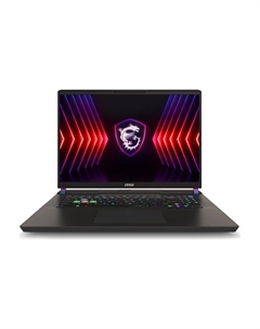 Игровой ноутбук MSI Vector 17 HX A14VHG-1016, 17", 32 ГБ/1 ТБ, i9-14900HX, RTX 4080, серый, английская клавиатура Msi
