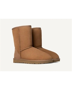 Женские короткие ботильоны Ii цвета каштан, цвет chestnut Ugg