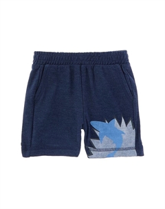 Шорты для мальчиков, синий Chaser