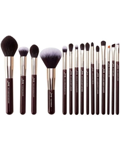 Набор кистей для макияжа t282, 15 шт. Zinfandel makeup tool kit Jessup