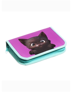 Пенал школьный, 1 секция, 14×21×4 см Calligrata