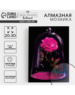 Алмазная мозаика с частичным заполнением на холсте Школа талантов