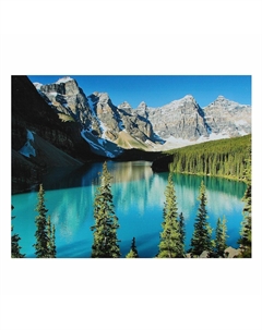 Картина-холст на подрамнике Nobrand