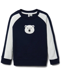 Свитшот «Джени и Джек», цвет multi Janie and jack