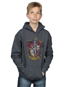 Толстовка с потертым гербом Гриффиндора, серый Harry potter