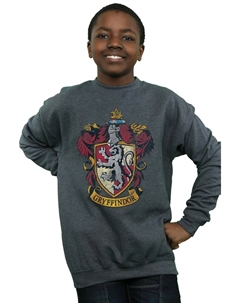 Толстовка Гриффиндора, серый Harry potter