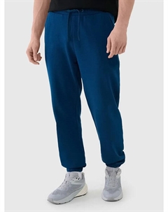 Спортивные штаны, синий 4f