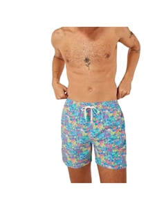 Мужские шорты для плавания, цвет blue fruit Chubbies