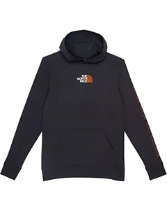 Детская толстовка, серый The north face