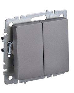 Переключатель двухклавишный BR-V22-0-10-K46 BRITE 10А ВС10-2-6-БрС Сталь Iek
