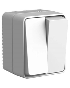 Выключатель двухклавишный ATN543051 AtlasDesign PROFI IP54 О/У 10 АХ, СЕРЫЙ Systeme electric