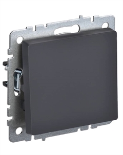 Переключатель одноклавишный BR-V12-0-10-K53 BRITE 10А ВС10-1-6-БрГ Графит Iek