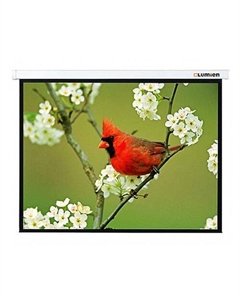 Экран Master Picture LMP-100107, 305х305 см, 1:1, настенно-потолочный Lumien