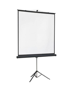 Экран Master View LMV-100105, 244х244 см, 1:1, напольный Lumien