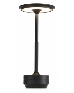 Настольная лампа декоративная Markel APL.064.24.05 Aployt