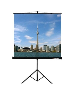 Экран LEV-100105 Eco View 160*160 1:1, с возможностью настенного крепления Lumien