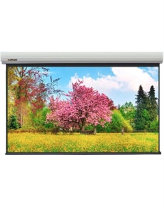 Экран LMLC-100110A с электроприводом Master Large Control 449x700см(раб.обл. 431x690см) (320") Matte White FiberGlass, черн. кайма по периметру Lumien