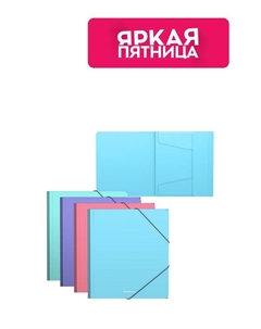 Папка для тетрадей на резинках A5+ Erich krause