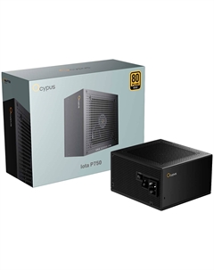 Блок питания Ocypus Iota P750 750W Gold ATX 3.1 (P750-GF)