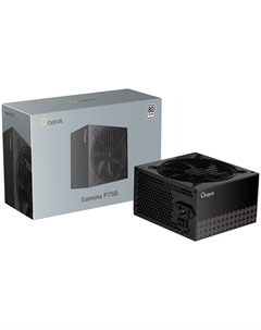 Блок питания Ocypus Gamma P750 750W (P750-W)