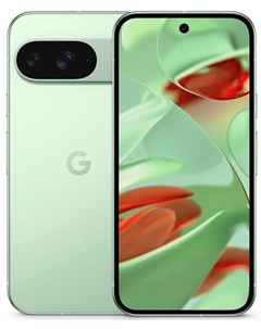 Смартфон Google Pixel 9 12/128Gb Global Wintergreen