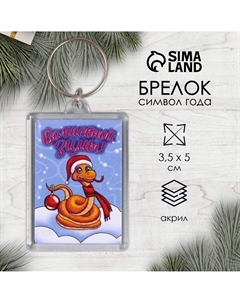 Брелок для ключей на кольце Nobrand